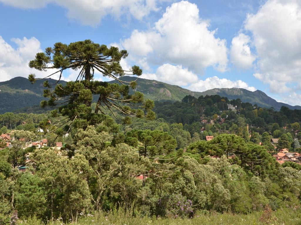 Green Village Hotel Monte Verde  Exteriér fotografie